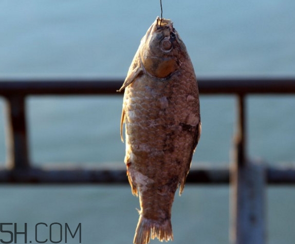 咸魚什么人不能吃？怎樣去除咸魚的咸