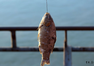 咸魚什么人不能吃？怎樣去除咸魚的咸