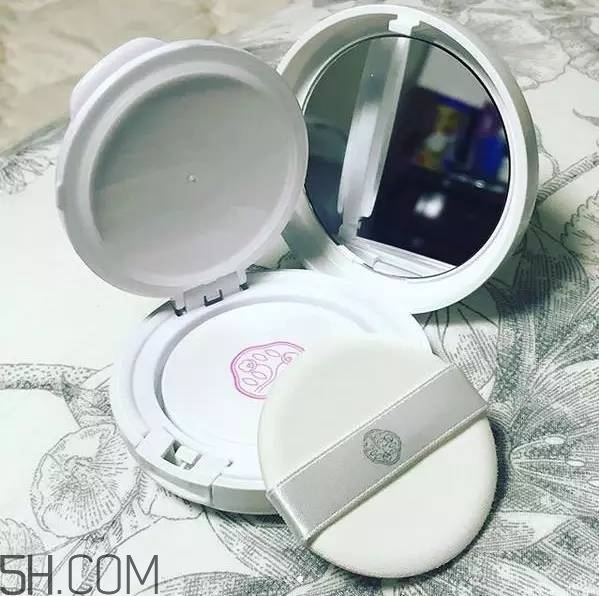 氣墊哪個(gè)牌子好用推薦 好用氣墊推薦 氣墊哪個(gè)牌子好用推薦 好用氣墊推薦