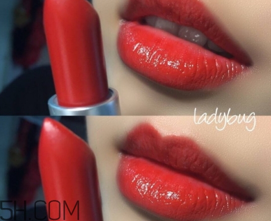 mac lady bug掉色嗎？mac ladybug真假辨別