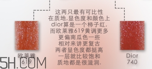 歐萊雅619和迪奧740像嗎？歐萊雅619秋葉和迪奧740對比
