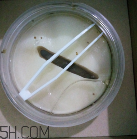 膜法世家金桂花眼膜怎么樣？膜法世家金桂花眼膜好用嗎？