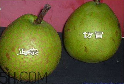 萊陽(yáng)梨幾月份才會(huì)有？正宗萊陽(yáng)梨哪里能買的到