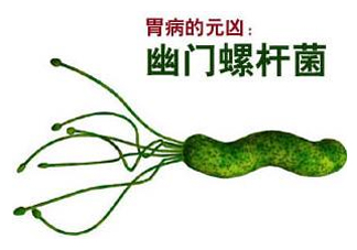 胃幽門螺旋菌陽性怎么辦？幽門螺桿菌能徹底治愈嗎