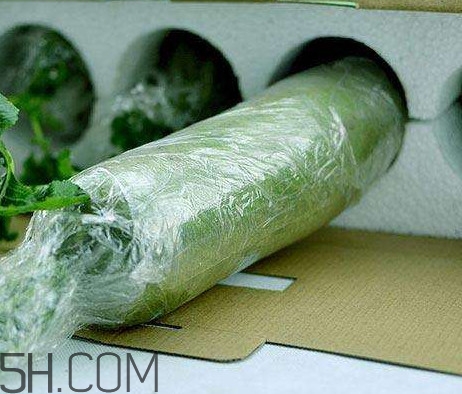 如何鑒別真假沙窩蘿卜？沙窩蘿卜怎么區(qū)分好壞