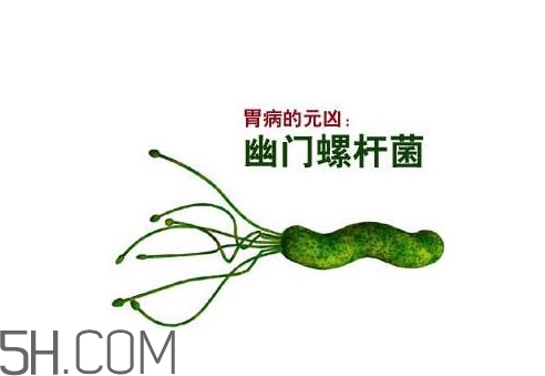 胃幽門螺旋菌陽性怎么辦？幽門螺桿菌能徹底治愈嗎
