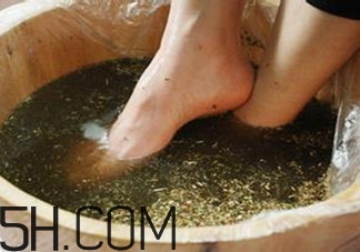 用什么泡腳比較好？艾葉泡腳還是紅花泡腳？