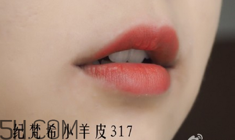 紀梵?？诩t204是什么顏色？紀梵希小羊皮真假辨別方法