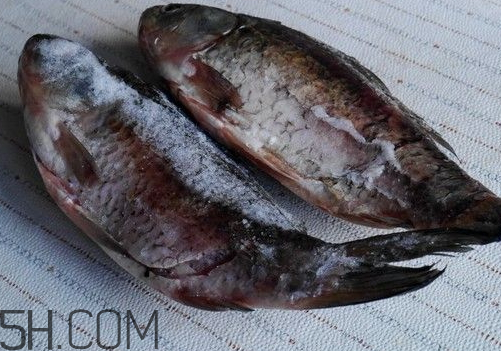 鯽魚(yú)冷凍后還有營(yíng)養(yǎng)嗎 鯽魚(yú)冷藏還是冷凍 鯽魚(yú)冷凍后還有營(yíng)養(yǎng)嗎 鯽魚(yú)冷藏還是冷凍