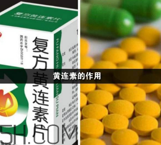 黃連素能降血糖嗎？黃連素能經常吃嗎？