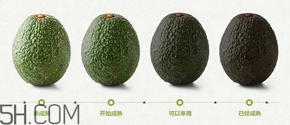 生牛油果可以放冰箱嗎？生牛油果怎么保存？