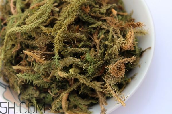 什么是伸筋草？伸筋草的功效與作用是什么？
