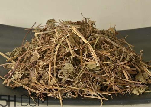 什么是透骨草？透骨草的功效與作用是什么？