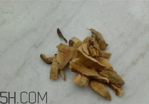 什么是丁公藤？丁公藤的功效與作用是什么？