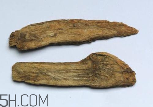 什么是丁公藤？丁公藤的功效與作用是什么？