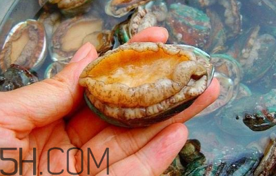鮑魚怎么做好吃？吃鮑魚注意事項(xiàng)