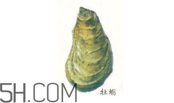 吃生蠔應(yīng)該注意哪些事項？生蠔與牡蠣的區(qū)別