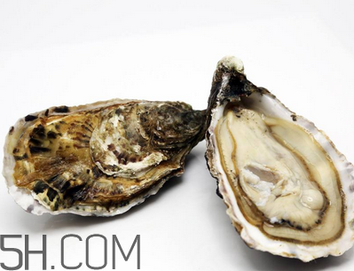 量吃生蠔有哪些好處？生蠔糖尿病人能吃嗎？