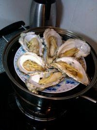 吃生蠔應(yīng)該注意哪些事項？生蠔與牡蠣的區(qū)別