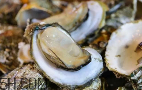 生蠔生吃好嗎？生蠔怎么吃最有營養(yǎng)？