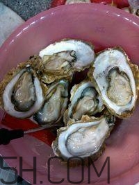 吃生蠔應(yīng)該注意哪些事項？生蠔與牡蠣的區(qū)別