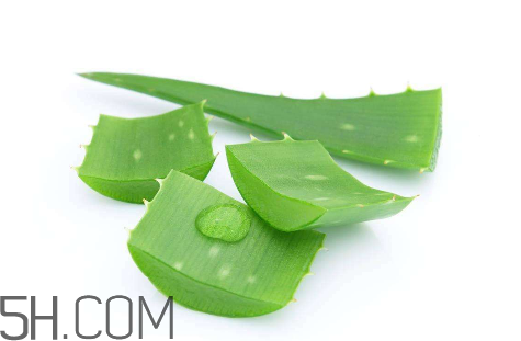 雅麗潔蘆薈膠怎么用？雅麗潔蘆薈膠使用方法