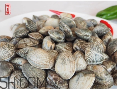 花甲可以冷凍嗎？養(yǎng)花甲鹽和水的比例是多少？