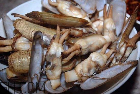 蟶子里面的黑色能吃嗎？蟶子為什么一撒鹽就出來(lái)？
