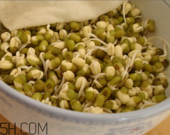 如何健康的喝豆?jié){？喝豆?jié){有什么注意事項嗎？