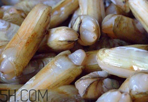 蟶子里面的黑色能吃嗎？蟶子為什么一撒鹽就出來(lái)？