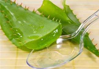 自然樂園蘆薈膠孕婦可以用嗎？自然樂園蘆薈膠使用心得