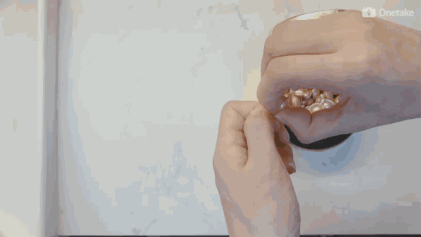 雅頓金膠怎么打開？雅頓金膠膠囊怎么扭開？