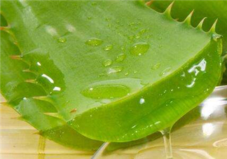 自然樂園蘆薈膠怎么用？自然樂園蘆薈膠使用方法