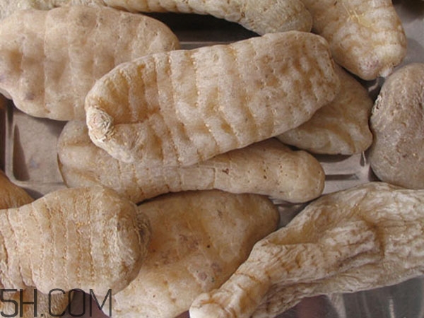天麻能泡水喝嗎？吃天麻有什么作用？