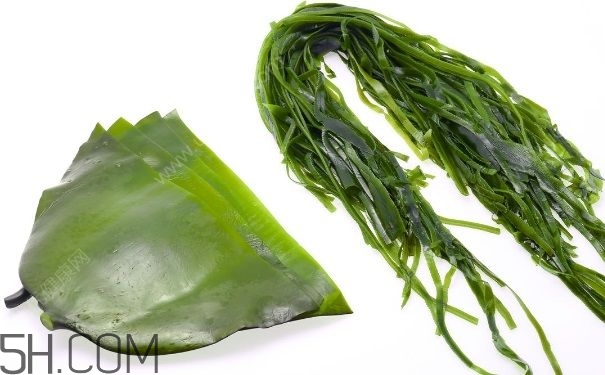 海帶的做法有哪些？怎么挑選優(yōu)質(zhì)海帶？