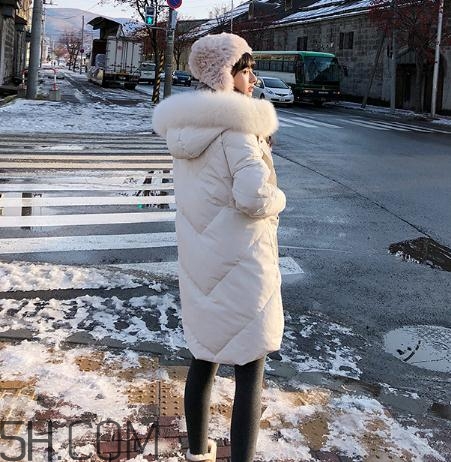 鵝絨羽絨服大概多少錢？白鵝絨羽絨服多少錢一件？