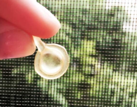 雅頓眼膠和面膠區(qū)別 雅頓眼膠和面膠可以一起用嗎？
