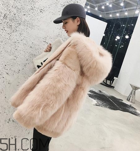 獺兔毛和兔毛哪個好？獺兔毛和兔毛的區(qū)別