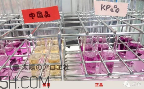 太陽社玻尿酸孕婦能用嗎？怎樣辯別真假太陽社玻尿酸？