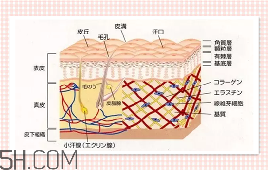 水光針可以祛斑嗎？涂抹式水光針的效果好嗎？