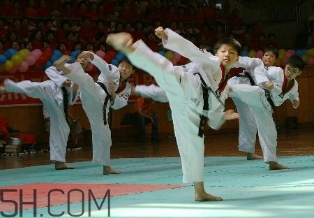 武術(shù)和跆拳道哪個對孩子好？武術(shù)和跆拳道的區(qū)別在哪里？