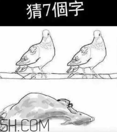 52422696代表什么意思？女生發(fā)52422696暗示什么