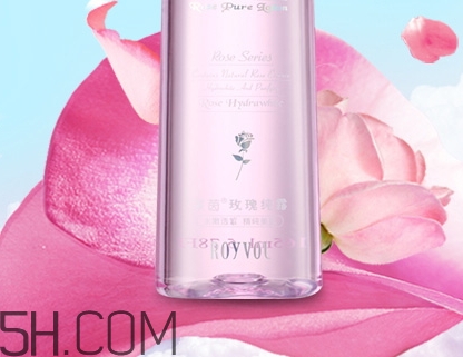 royvol萊茵是什么牌子？royvol萊茵是哪個國家的