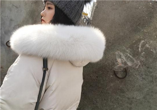 狐貍毛領會掉毛嗎？狐貍毛領掉毛怎么辦？