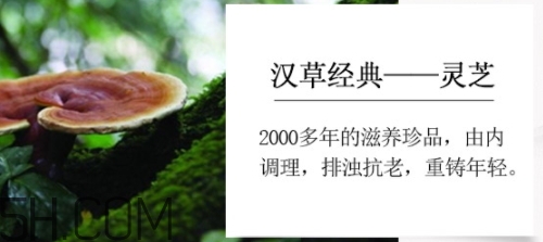 羽西小鮮瓶安瓶怎么用？羽西小鮮瓶安瓶怎么樣