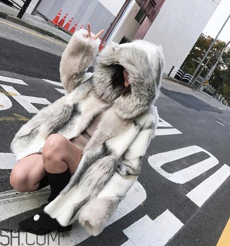 十字貂和水貂哪個(gè)好？十字貂和水貂哪個(gè)貴？
