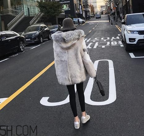 十字貂和水貂哪個(gè)好？十字貂和水貂哪個(gè)貴？