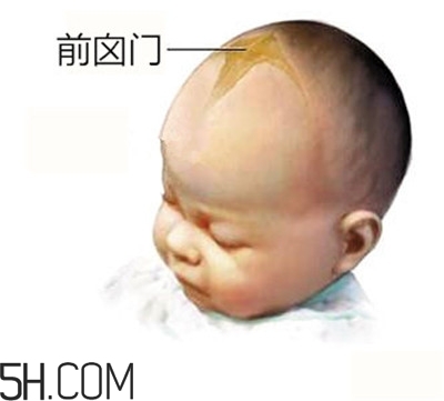 寶寶囟門是怎樣的一個部位？寶寶的囟門要怎樣保護比較好？