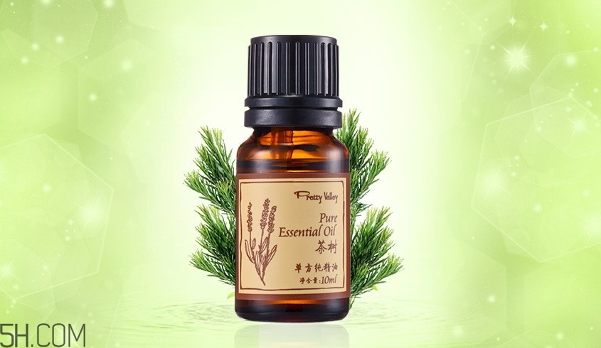 茶樹精油可以直接涂在臉上嗎？茶樹精油的功效與作用？