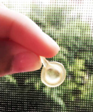 伊麗莎白雅頓眼部精華液怎么打開？怎么保存？
